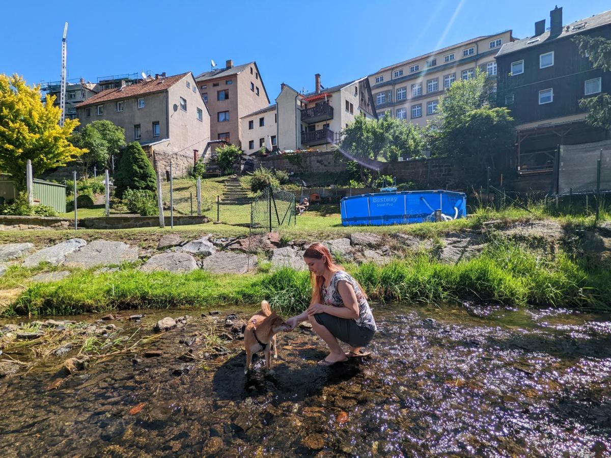 סבניץ Famzi - Urlaubsmagie - Familienwohnung Mit Gemeinschaftsgarten, -Sauna & -Pool מראה חיצוני תמונה